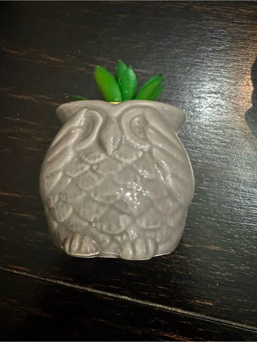Gray Ceramic Owl Planter with Green Succulent